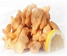 1116 Pollo Fritto