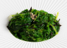 WAKAME