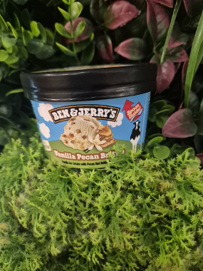 BEN&JERRY Vanille Pecan Brittle
