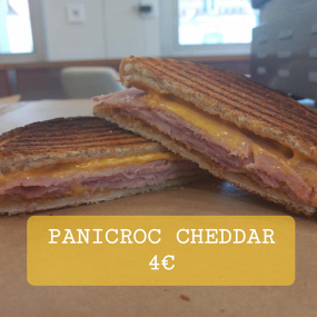 PANICROC CHEDDAR