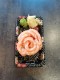 SASHIMI SAKE S