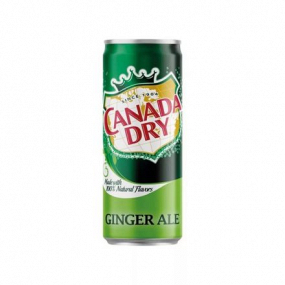 Canada Dry 0.33L