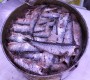 ALICI SALATE