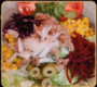 ENSALADA MIXTA