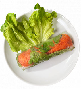 Rouleau Printemps Végétarien