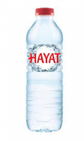 Wasser ohne Kohlensäure 0,5l