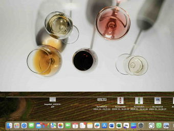 ALKOHOLISCHE GETRÄNKE