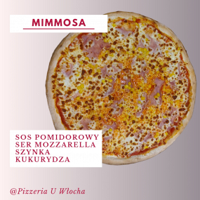 Mimmosa  25cm