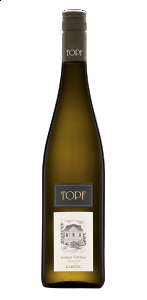 Topf Grüner Veltliner száraz fehérbor 13,5% 0,75 l (2022)