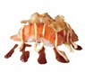 115. Nigiri Spicy