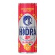 Hydra up orange 0,33 limenka