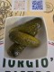 KYSLÉ UHORKY 80g