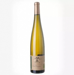 Sauvignon BIO (Domin & Kušický) 🔞