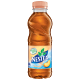 NESTEA PIERSICI 