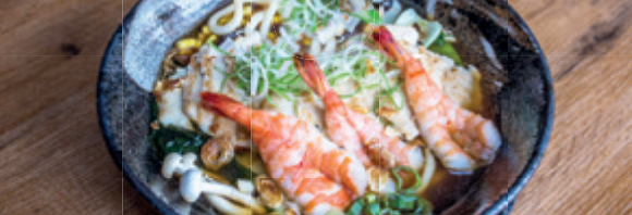 UDON NUDELN SUPPE / BANH CANH 