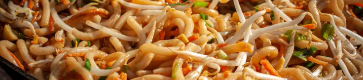 GEBRATENE UDON NUDELN 