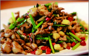 G05 Pui de baltă GAN BIAN