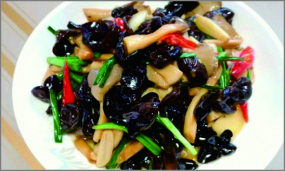 I10 Ciuperci cu urechi de lemn