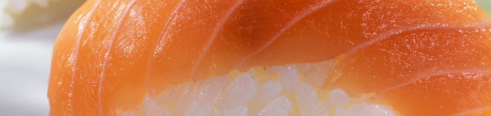 NIGIRI ( je 2 Stück )