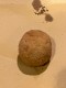 Supplì al Pesto