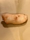 Filetti di Baccalà