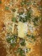 34 Chicken Dansek (G,H)