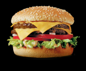 DOUBLE CHICKEN BURGER