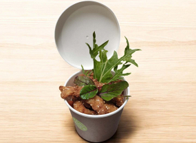 RandiBOX™ 1.0 Joghurtos-kapros mártással