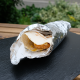 Bundás Tortilla