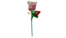 LOVE POP 38g