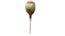 SUCETTE SUPER PICA BUBBLE GUM XXL
