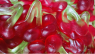 CERISES LISSE (10 POUR 1,00€)