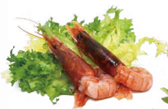 A12 GAMBERI CRUDI