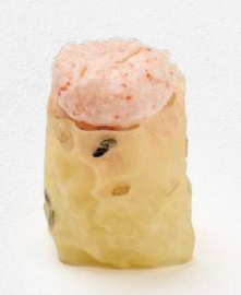 95 GUNKAN SURIMI 2.0