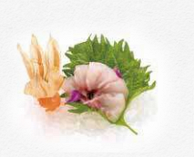 293 SASHIMI BRANZINO 5PZ