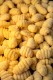 Gnocchi KG