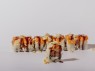 Mandorle roll