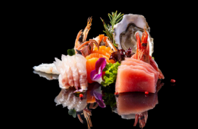 S18 SASHIMI ICHIPAN 15PZ