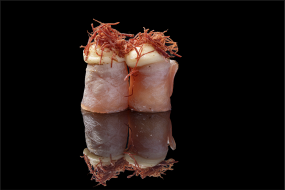 72 gunkan tonno speciale	