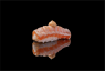 78.NIGIRI SAKE SCOTTATO 2PZ