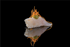 85 NIGIRI SUZUKI FLAMBE	