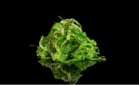1.ALGHE WAKAME