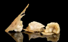 9.RAVIOLI ALLA GRIGLIA 4PZ