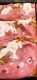 Mortadella, pistacchio e stracciatella