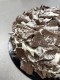 Mont Blanc