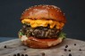 Golden Cheddar Angus