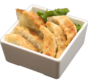 GYOZAS DU MOMENT 5PCS