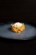 CRISPY FRIT : SAUMON CHEESE