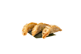▪️19.gyoza pollo fritto