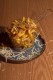 Patatine Fritte con Parmigiano Reggiano 24 Mesi e Gratuggiata di Tartufo Nero Fresco, Sale e Pepe